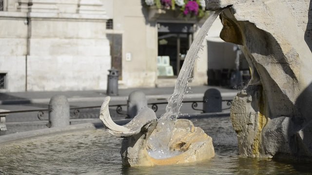 Navona square, fountain. Rome, Italy