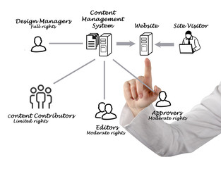 Content Management System