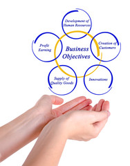 Business Objective