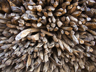 Naklejka premium The pile of firewood were taken close up and fill the whole picture. The picture can be use as wall paper or background image as the beauty texture and composition are good looking..