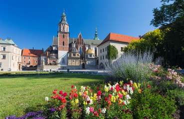 Cracow / Catedral / Wawel