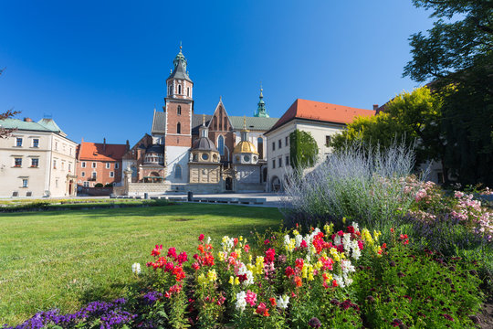 Fototapeta Cracow / Wawel 