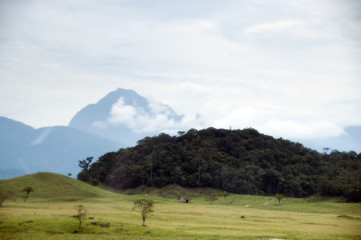 Ponta Grossa, Paraná