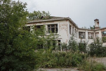 Fototapeta na wymiar abandoned building overgrown with vegetation
