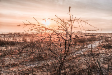 Obraz premium Dünenlandschaft Usedom