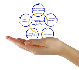 Diagram of Business Objective