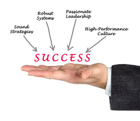 Diagram of success