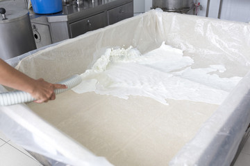 Fototapeta na wymiar Cheese production creamery dairy tank hose