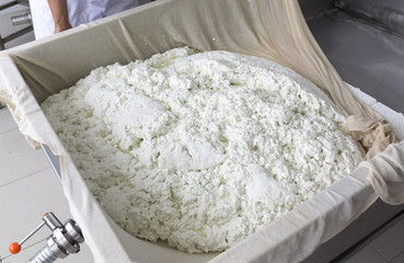 Cheese production buffalo gauze lint