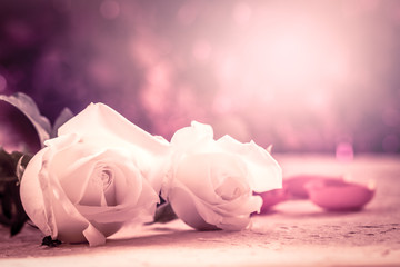 beautiful white rose on mulberry paper in pink soft color effect