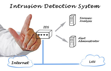 diagram of Intrusion Detection System