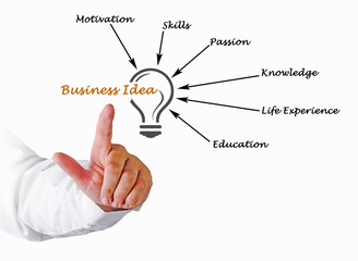 Business Idea