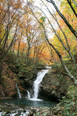 紅葉の渓谷