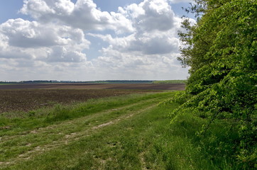 Background of sky, clouds and field with fallow