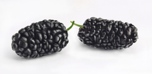  mulberry berries on a white background