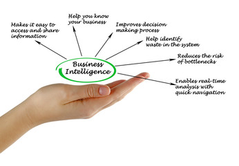 Business Intelligence
