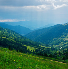 Fototapeta premium The mountain slopes are covered with forest