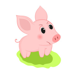 Pig smiling. Cheerful pig.