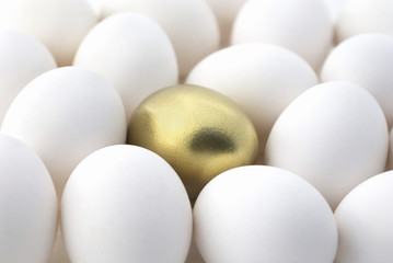 Diversify Your Investments