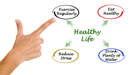 Diagram of healthy life