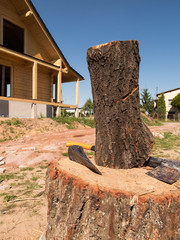 ax stuck in a log standing