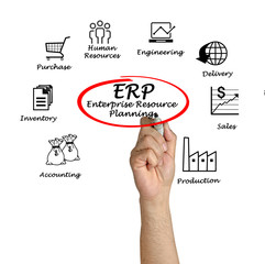 Enterprise Resource Planning