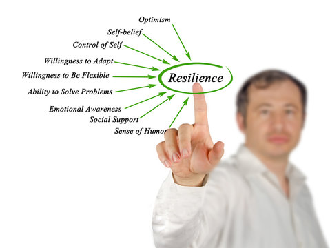 Diagram of Resilience