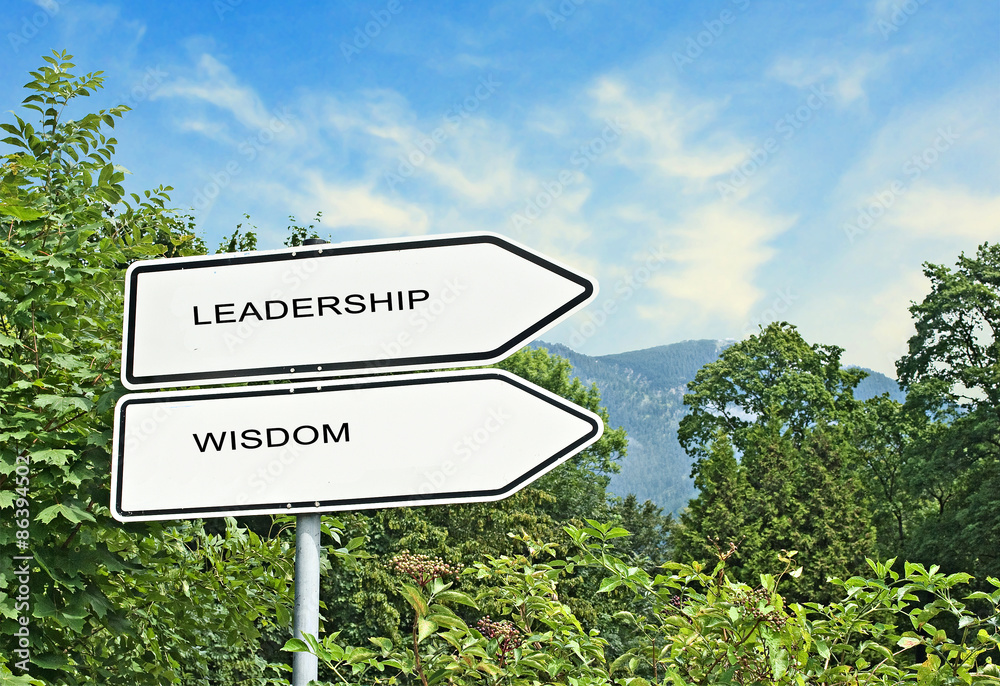 Wall mural Road signs to leadership and wisdom