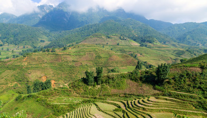 Fototapeta na wymiar village agriculture Terraced Rice Field hill