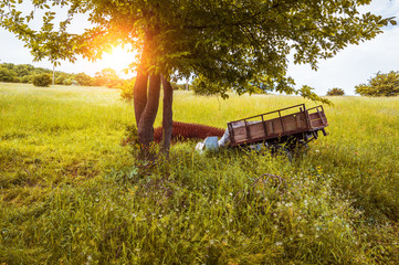 Car trailer in the countryside
