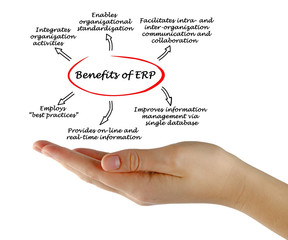 Benefits of ERP.