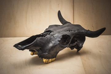 Obraz premium bulls skull