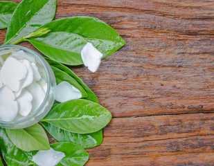 White Gardenia jasminoides flower