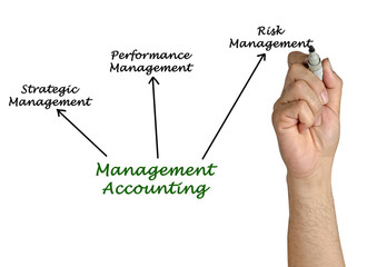 Obraz premium Management Accounting