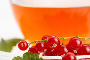 tea in cup and fresh red currant