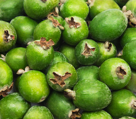 Tropical fruit feijoa background