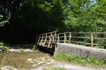 Fototapeta premium Brücke im Wald