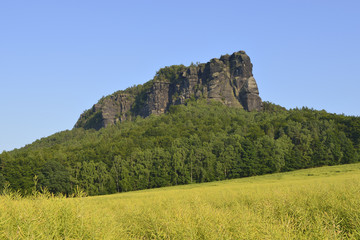 Blick zum Lilienstein in der Sächsischen Schweiz