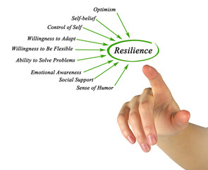 Diagram of Resilience