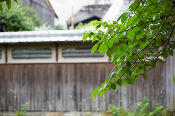 伝統家屋