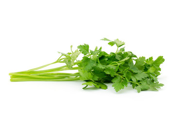 green leaves of parsley isolated on white background