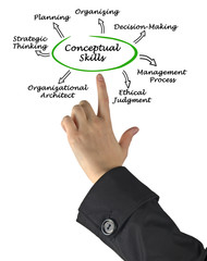 Diagram of Conceptual Skills