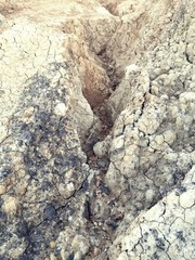Cracked Dried Ground