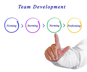 Team Development