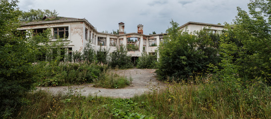 Fototapeta na wymiar Panorama of the deserted buildings among green vegetation