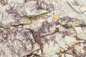 Rock texture background