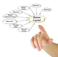 Diagram of Human Capital