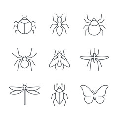Insect simple vector icon set - bug, ant, tick, spider, fly, gnat, beetle, dragonfly and butterfly