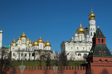 Fototapeta na wymiar The Moscow Kremlin 