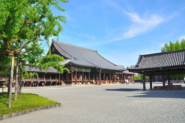 Fototapeta premium 京都 西本願寺